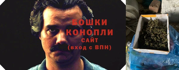 сатива Кинешма