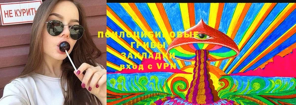 кокс Алексин
