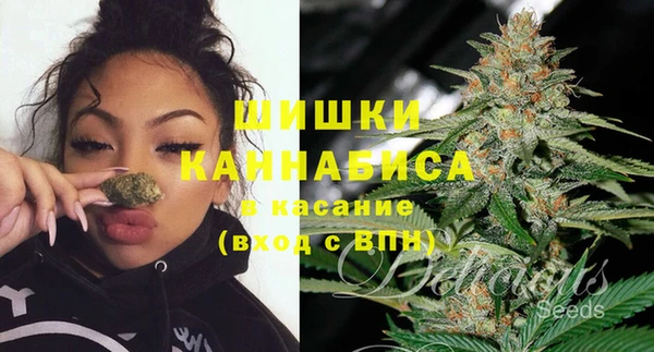 ешки Алексеевка